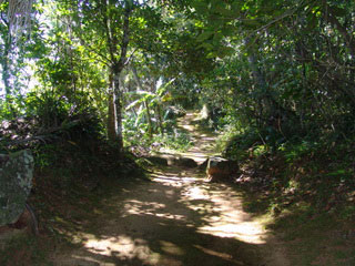 Hiking and trekking